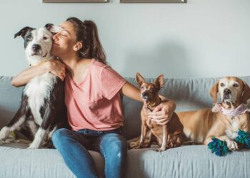 La nueva Ley de Bienestar Animal protege a tu mascota y evita multas