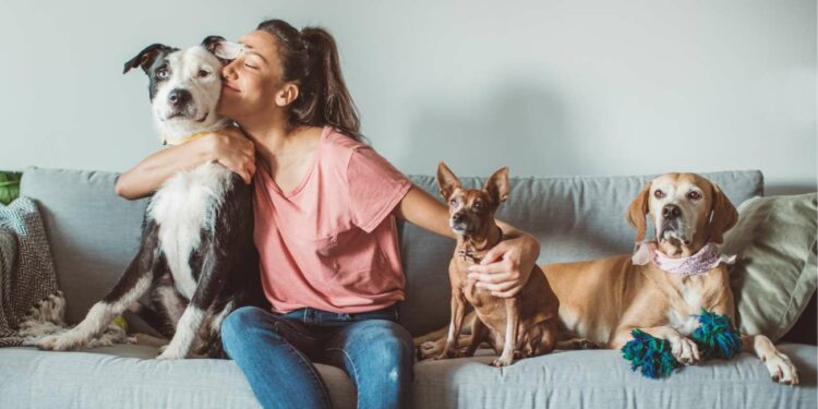 La nueva Ley de Bienestar Animal protege a tu mascota y evita multas