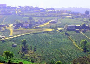 Los 3 mejores países para vivir y trabajar