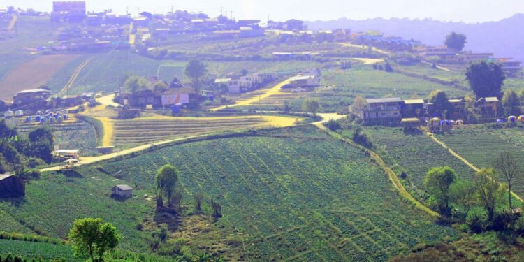 Los 3 mejores países para vivir y trabajar