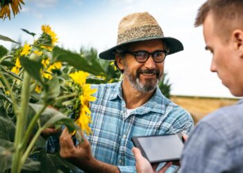 Impacto de la subida del SMI en sectores clave de la economía española