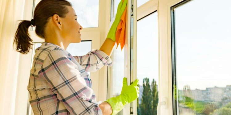 Actualización de salarios en empleadas del hogar: Impacto de la subida del Salario Mínimo Interprofesional