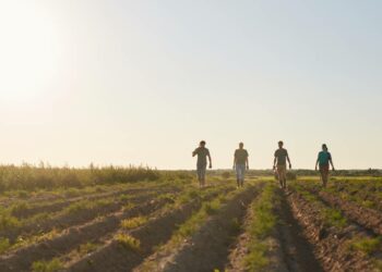 La ayuda del SEPE de hasta 5.760 euros para mayores de 52 años en el sector agrario