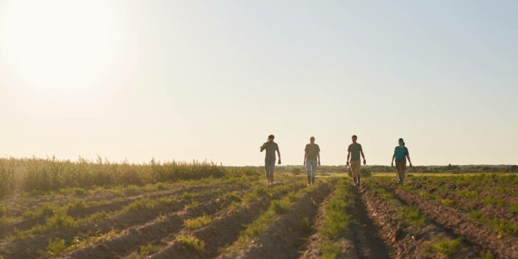 La ayuda del SEPE de hasta 5.760 euros para mayores de 52 años en el sector agrario