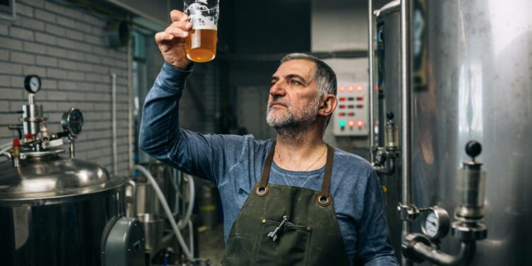 Damm busca 10 operarios para su fábrica de cervezas sin necesidad de experiencia previa