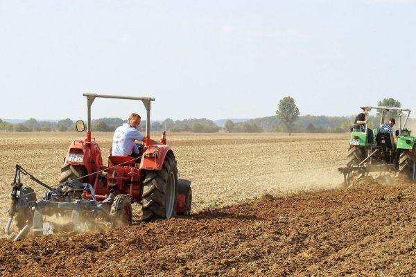 SEPE publica 10.300 ofertas de empleo fijo en agricultura