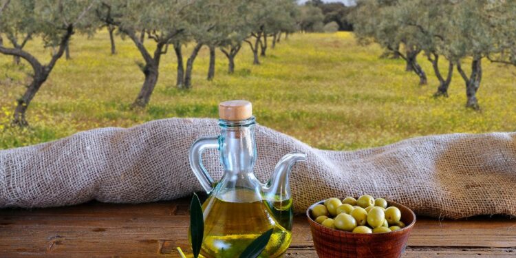 Cómo ahorrar en la compra de aceite de oliva en España