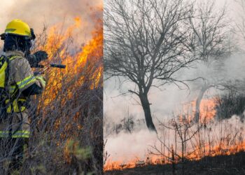 Convocatoria de 340 plazas en el Plan INFOCA para combatir incendios en Andalucía