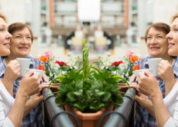 Las amas de casa ya pueden solicitar una pensión no contributiva