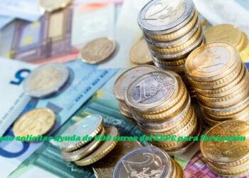 Cómo solicitar ayuda de 600 euros del SEPE para formación