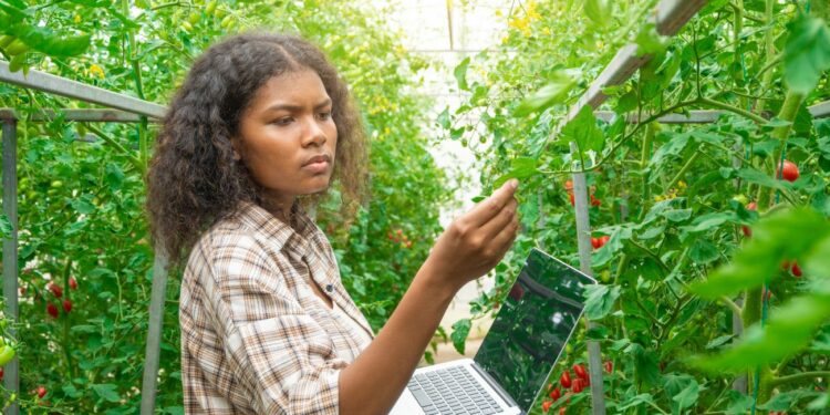 Navarra convoca 26 plazas para Ingeniero Técnico Agrícola en su Administración Pública