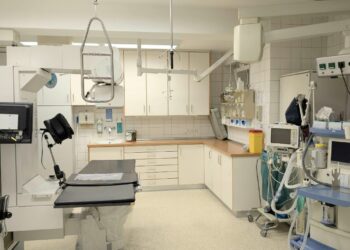 El Hospital General de València activa una amplia bolsa de empleo temporal