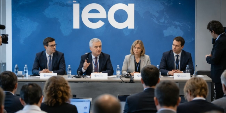 La Agencia Internacional de la Energía pide reducir el consumo ante la crisis energética